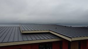 Best Roof Insulation Installation  in Placerville, CA